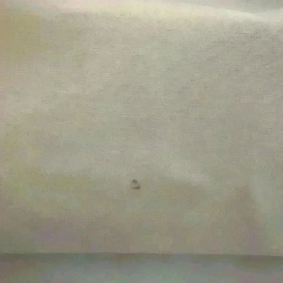 Puritan Lt Blue Long Sleeve Button Down Dress Shirt - Size 17 - Picture 11 of 12